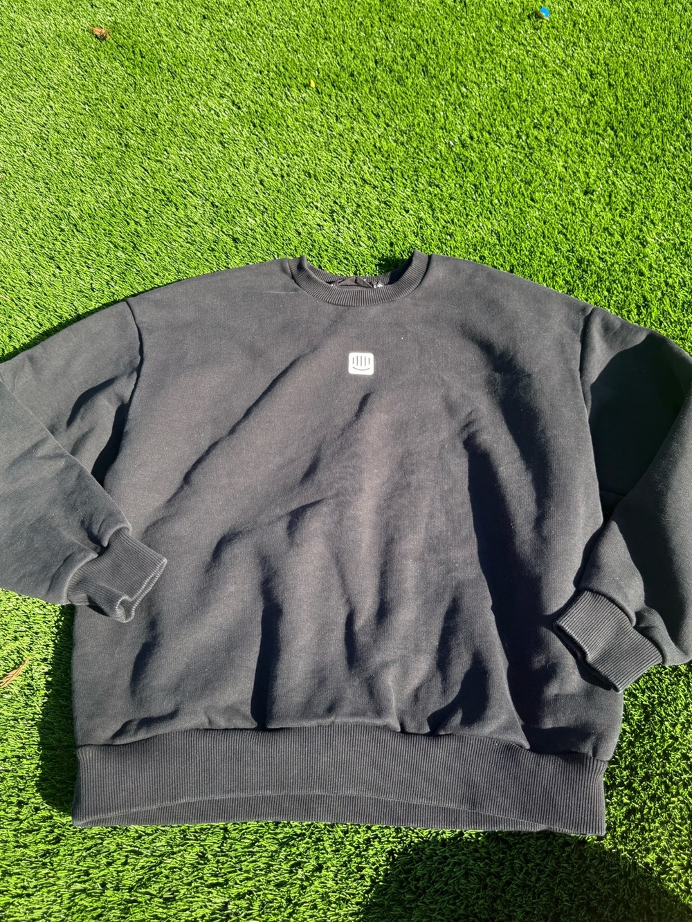 Pangaia Black Crewneck Sweatshirt with Small White Chest Emblem
